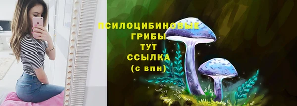 стаф Михайлов