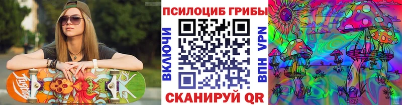 Галлюциногенные грибы Psilocybine cubensis  Белая Калитва 